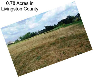 0.78 Acres in Livingston County