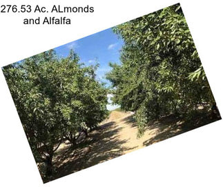 276.53 Ac. ALmonds and Alfalfa