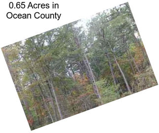 0.65 Acres in Ocean County