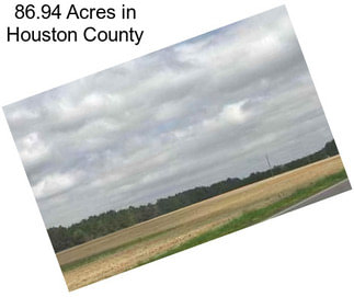 86.94 Acres in Houston County