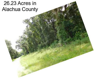 26.23 Acres in Alachua County