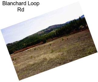 Blanchard Loop Rd