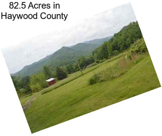 82.5 Acres in Haywood County