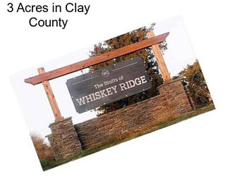 3 Acres in Clay County