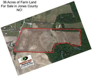 36 Acres of Farm Land For Sale in Jones County NC!