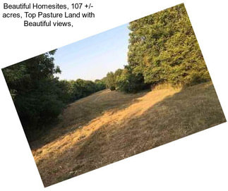 Beautiful Homesites, 107 +/- acres, Top Pasture Land with Beautiful views,