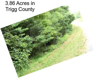 3.86 Acres in Trigg County