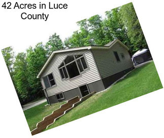 42 Acres in Luce County