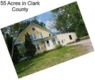 55 Acres in Clark County
