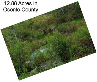 12.88 Acres in Oconto County