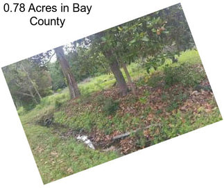 0.78 Acres in Bay County