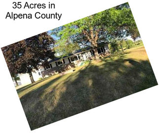 35 Acres in Alpena County