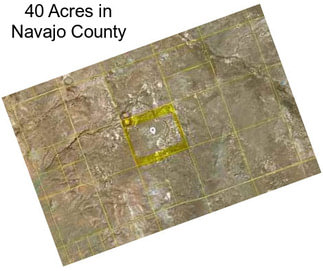40 Acres in Navajo County