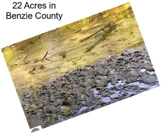 22 Acres in Benzie County