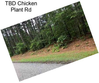 TBD Chicken Plant Rd