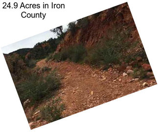 24.9 Acres in Iron County