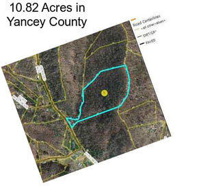 10.82 Acres in Yancey County