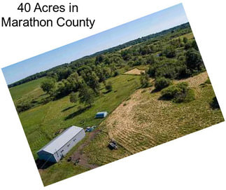 40 Acres in Marathon County