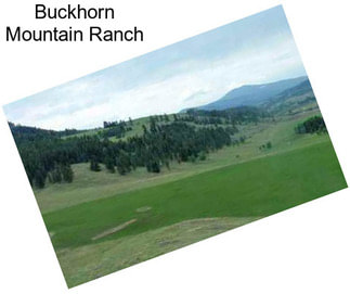 Buckhorn Mountain Ranch