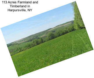 113 Acres Farmland and Timberland in Harpursville, NY