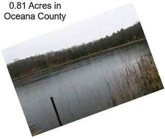 0.81 Acres in Oceana County