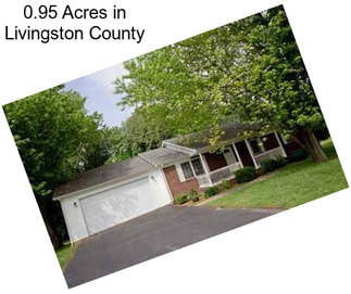 0.95 Acres in Livingston County