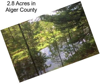 2.8 Acres in Alger County