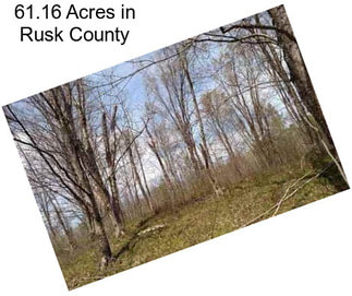 61.16 Acres in Rusk County