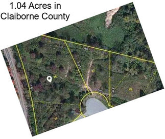 1.04 Acres in Claiborne County