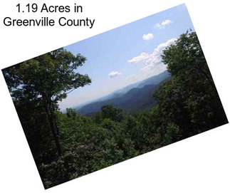 1.19 Acres in Greenville County