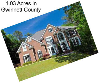 1.03 Acres in Gwinnett County