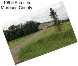 109.5 Acres in Morrison County