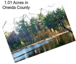 1.01 Acres in Oneida County