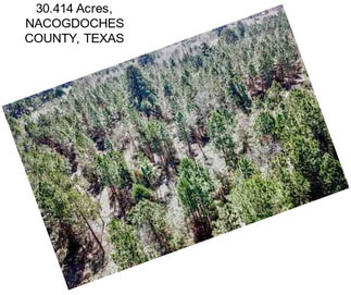 30.414 Acres, NACOGDOCHES COUNTY, TEXAS