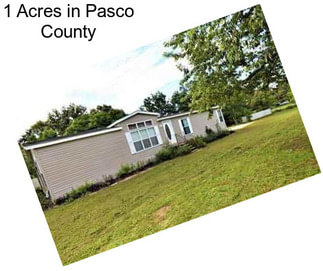 1 Acres in Pasco County