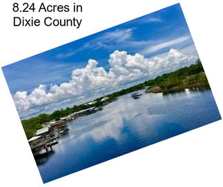 8.24 Acres in Dixie County