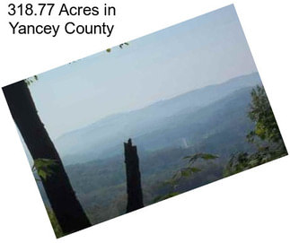 318.77 Acres in Yancey County