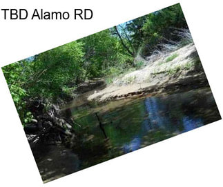 TBD Alamo RD