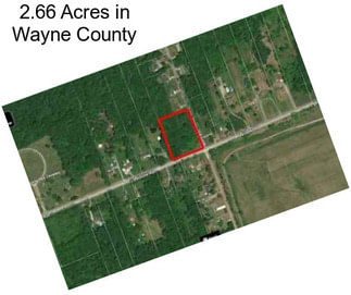 2.66 Acres in Wayne County