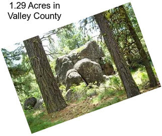 1.29 Acres in Valley County