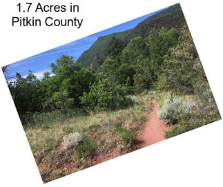 1.7 Acres in Pitkin County