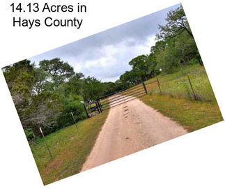 14.13 Acres in Hays County