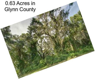 0.63 Acres in Glynn County