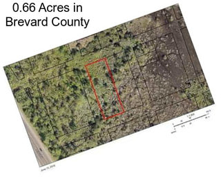 0.66 Acres in Brevard County