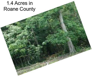 1.4 Acres in Roane County