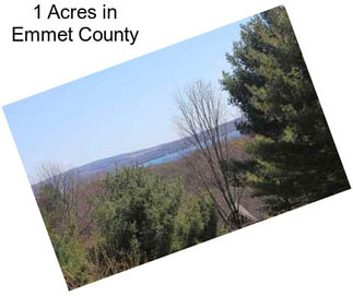 1 Acres in Emmet County