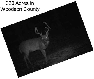 320 Acres in Woodson County