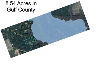 8.54 Acres in Gulf County