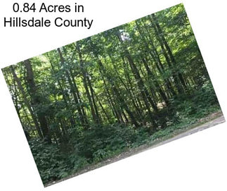 0.84 Acres in Hillsdale County