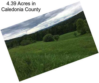 4.39 Acres in Caledonia County